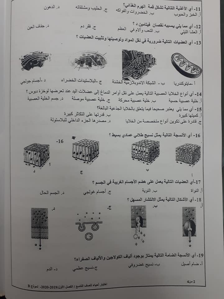 صور نموذج B وكالة امتحان احياء نهائي للصف التاسع الفصل الاول 2020